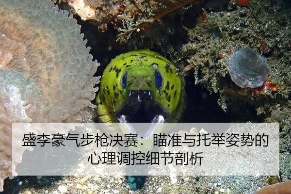 sheng-li-hao-qi-bu-qiang-jue-sai-miao-zhun-yu-tuo-ju-zi-shi-de-xin-li-tiao-kong-xi-jie-pou-xi-3-652.jpg
